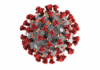 covid virus
